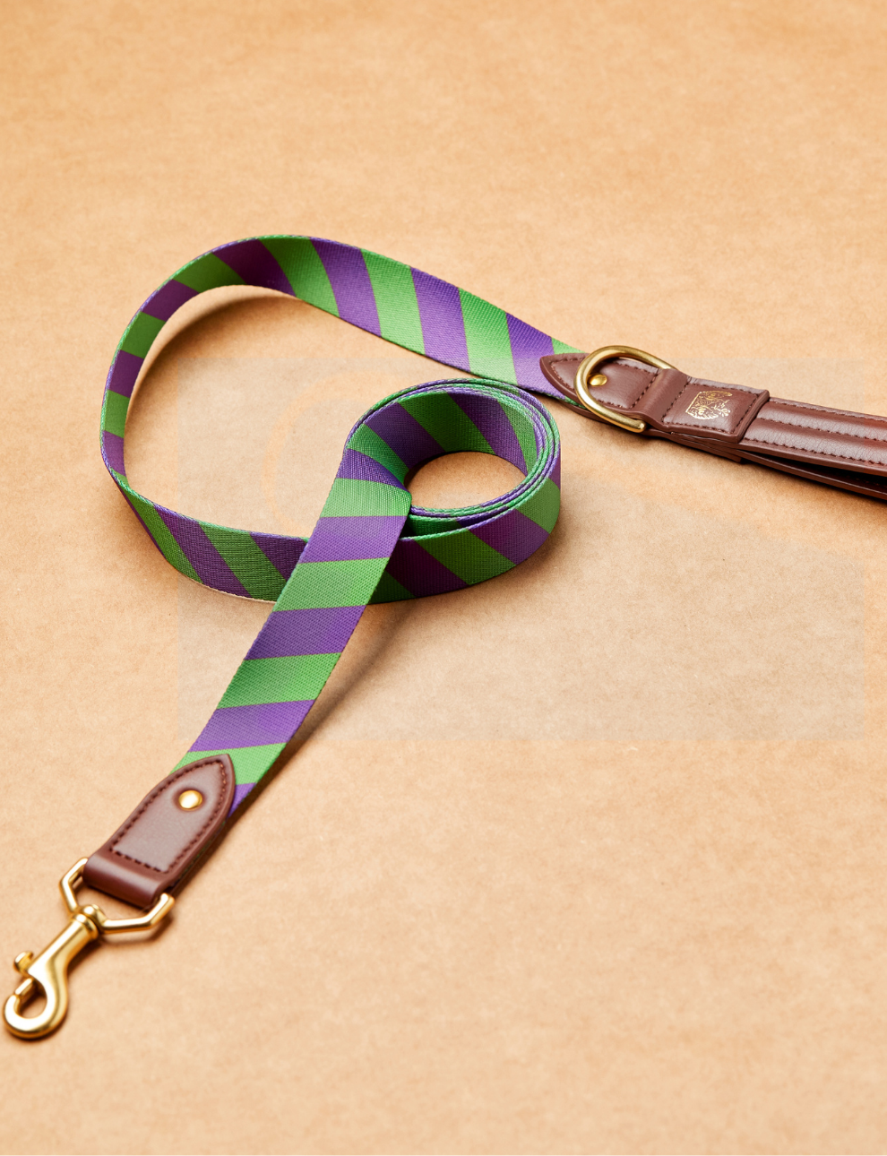 Small Dark & Handsome Leash